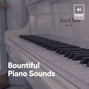 Bountiful Piano Sounds dari Piano Dreams