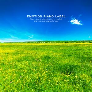 Album A beautiful piano (Meditation Therapy) that heals wounds with meditation from 