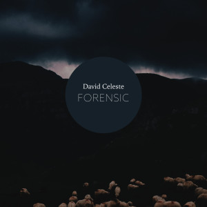 收听David Celeste的Volunteer歌词歌曲