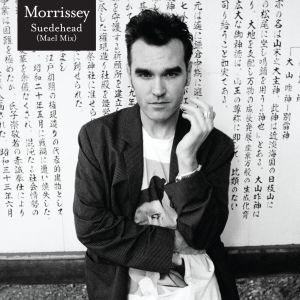 ดาวน์โหลดและฟังเพลง Suedehead (Mael Mix) พร้อมเนื้อเพลงจาก Morrissey