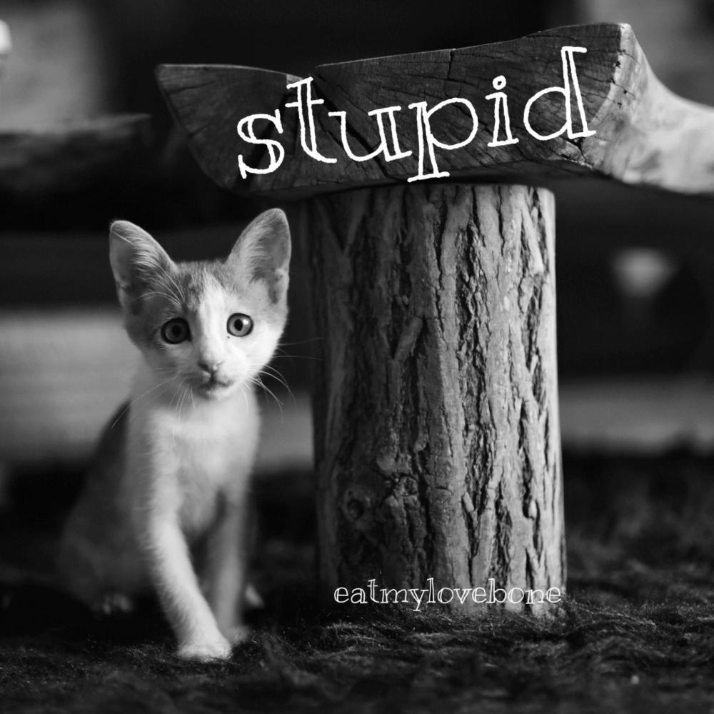 stupid (Explicit)