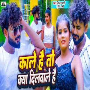 Listen to Kale Hai To Kya Dilwale Hai song with lyrics from Nirala Bharti