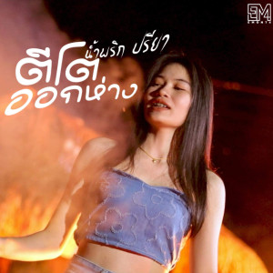 ดาวน์โหลดและฟังเพลง ตีโตออกห่าง พร้อมเนื้อเพลงจาก น้ำพริก ปรียา
