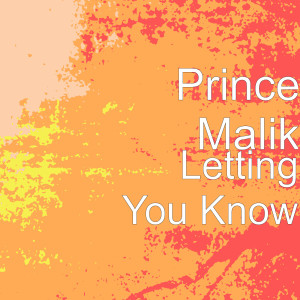 Album Letting You Know from Prince Malik