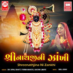 Album Shreenathji Ni Zankhi from Dr. Dipali Bhatt
