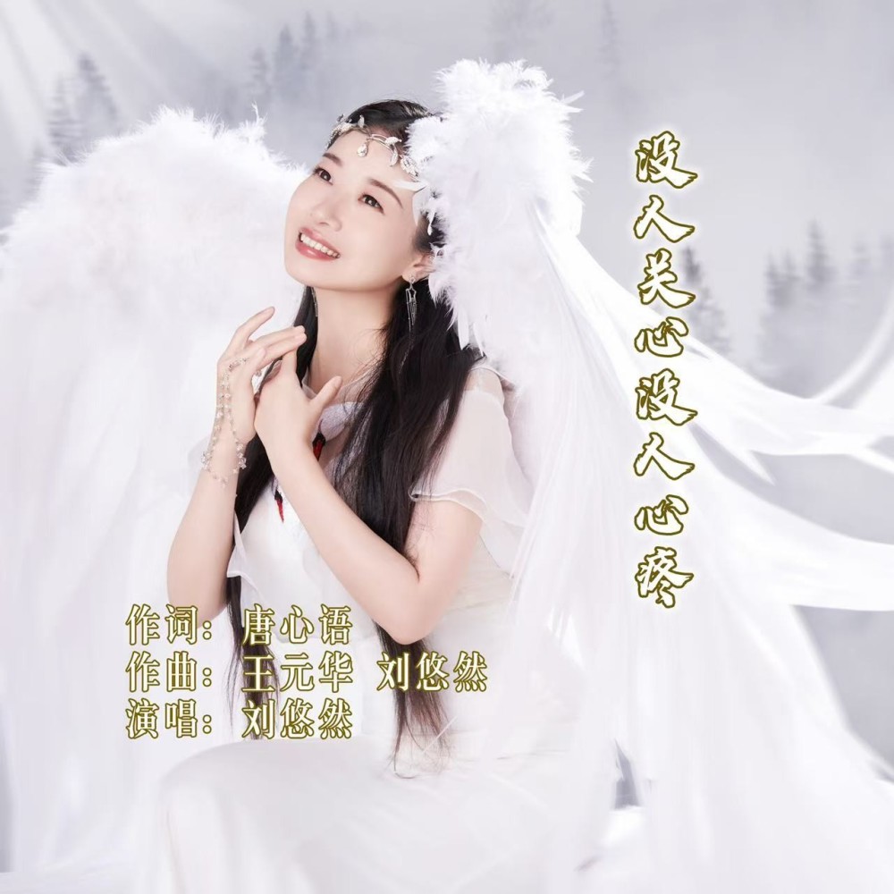 没人关心没人心疼（DJ彭锐版） (伴奏)