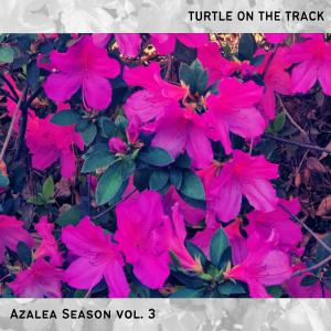 收聽Turtle On The Track的37th Bday (feat. TravDdaBeatman)歌詞歌曲
