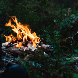 Dengarkan lagu Просто nyanyian Apophenic dengan lirik