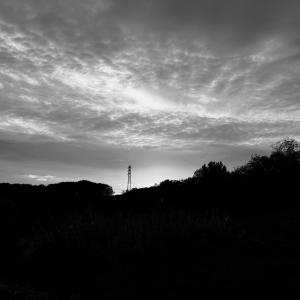 收聽Yana_Pew的White Skies歌詞歌曲