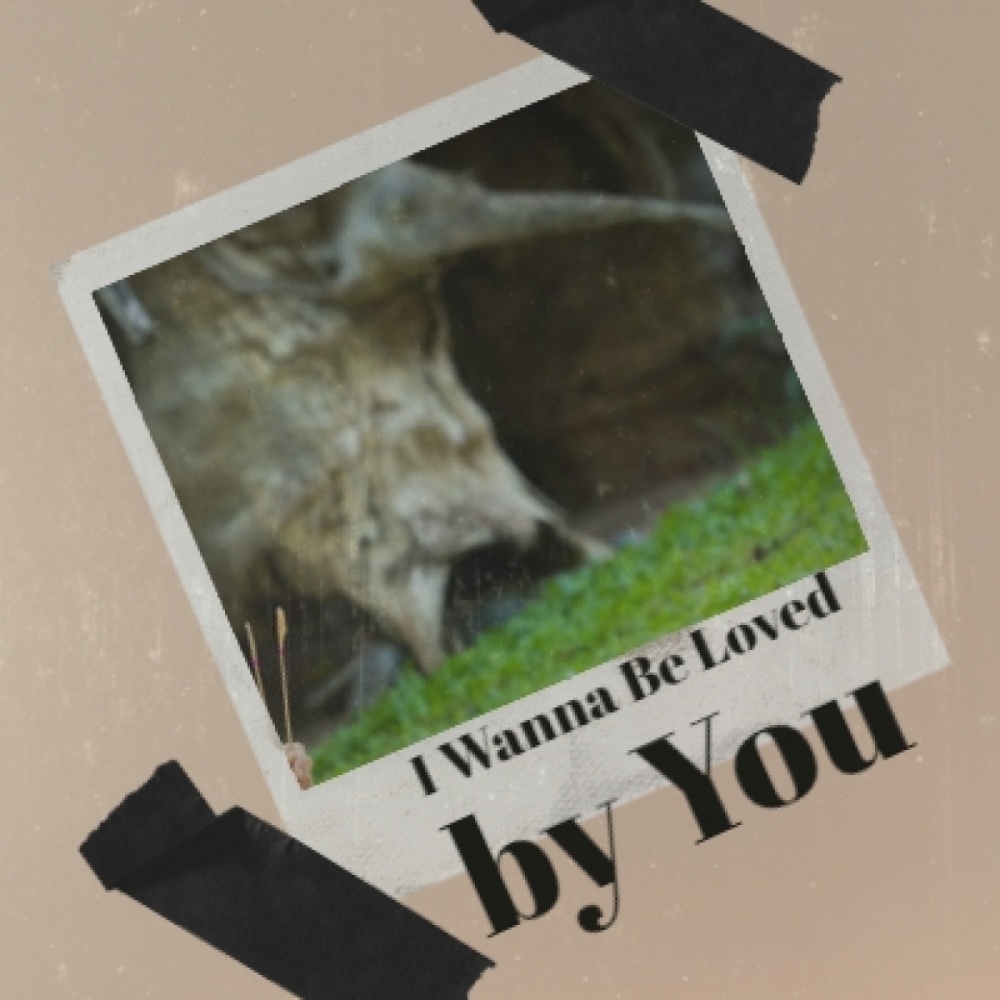 I Wanna Be Loved by You