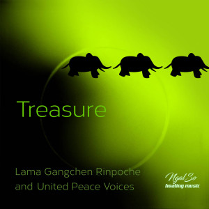 Treasure dari Lama Gangchen Rinpoce