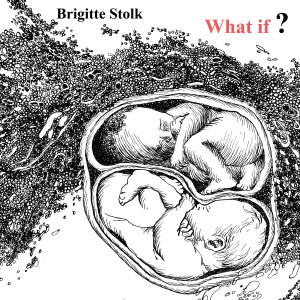 Album What If ? from Brigitte Stolk