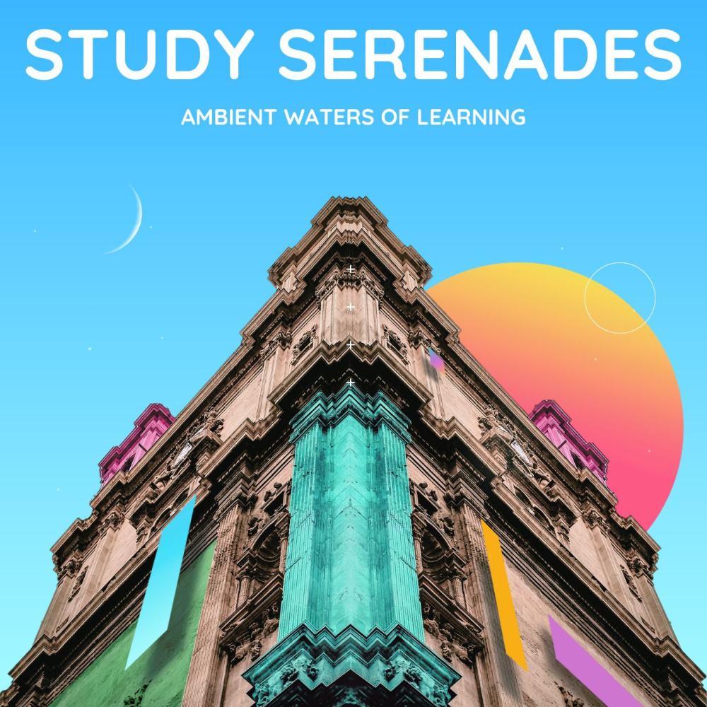 Navigating the Waters of Study Success