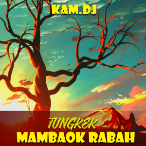 收听KAM.DJ的TUNGKEK MAMBAOK RABAH歌词歌曲