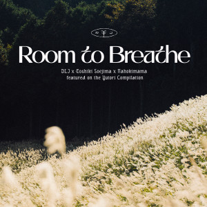 DLJ的專輯Room to Breathe
