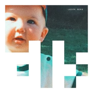 ดาวน์โหลดและฟังเพลง Say (LU2VYK Remix) พร้อมเนื้อเพลงจาก Dutchkid