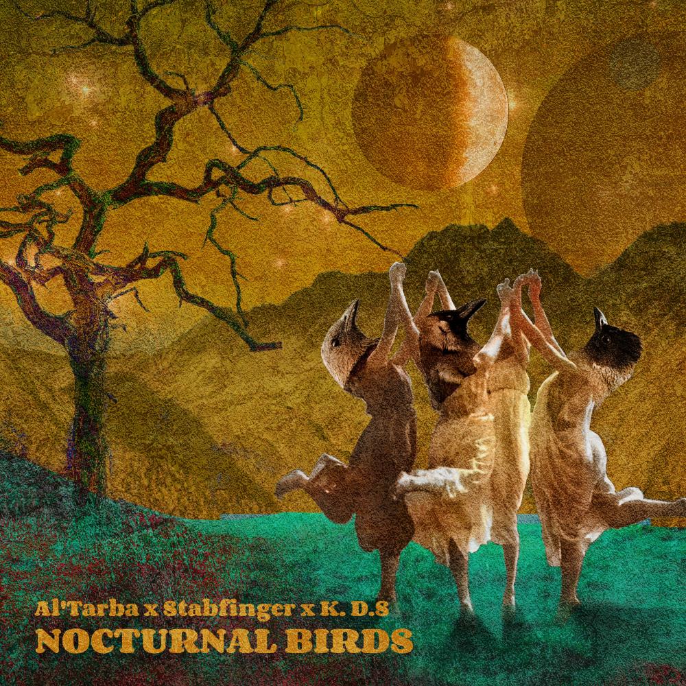 Nocturnal Birds (Cdc10)