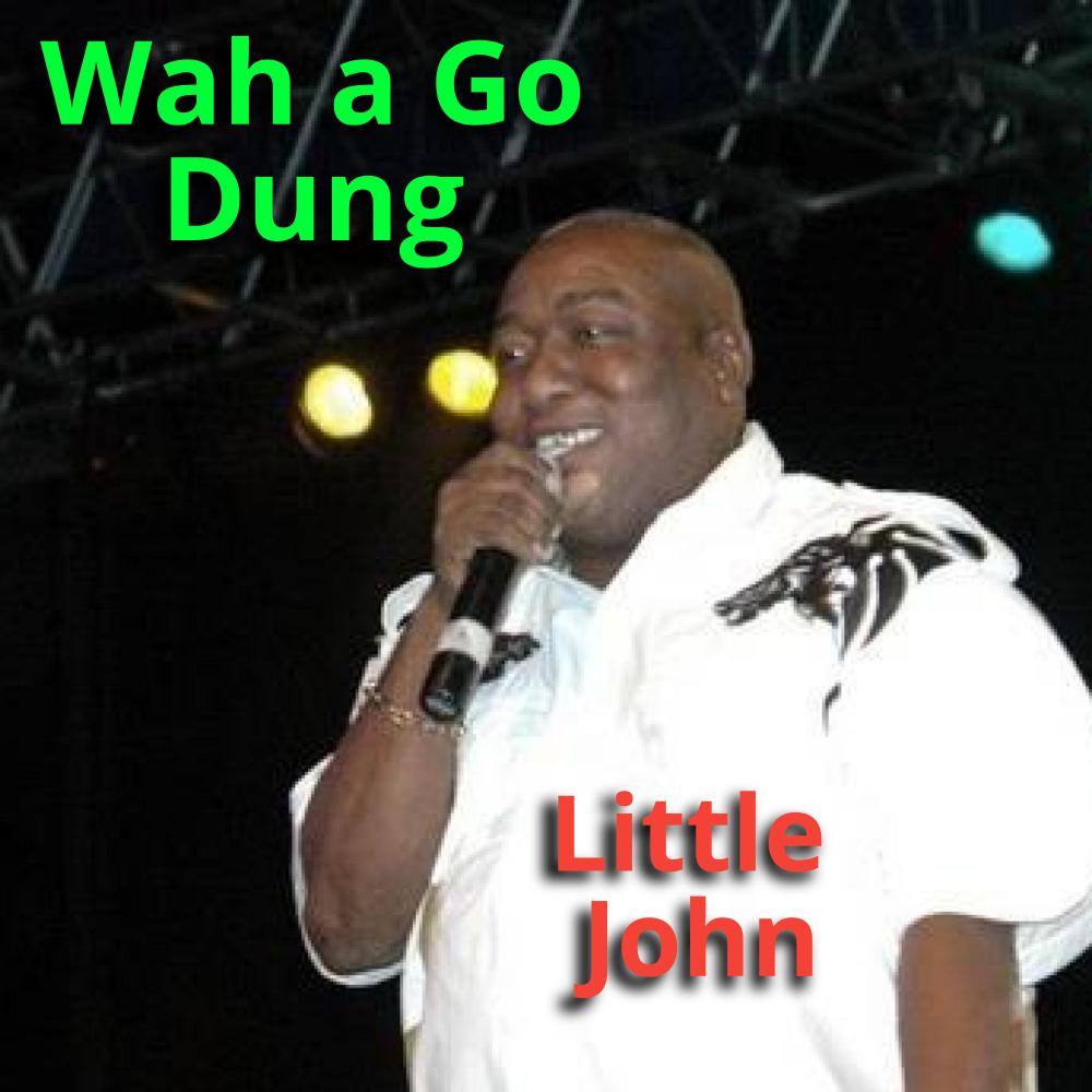 Wah a Go Dung(feat. Little John)