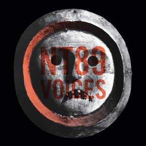 ดาวน์โหลดและฟังเพลง Voices พร้อมเนื้อเพลงจาก NT89