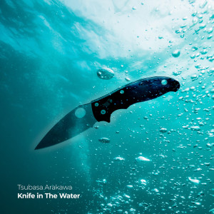 ดาวน์โหลดและฟังเพลง Knife in the Water พร้อมเนื้อเพลงจาก Tsubasa Arakawa