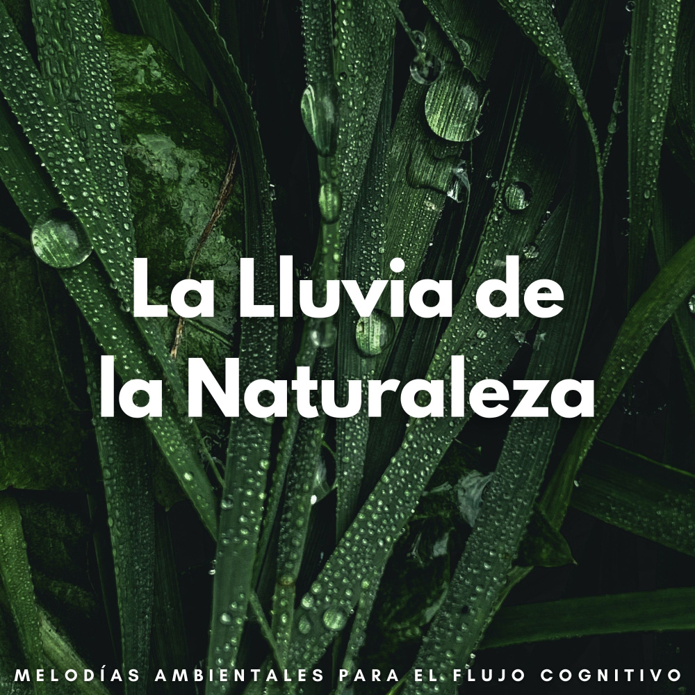 La Lluvia De La Naturaleza Inspira Una Concentración Profunda