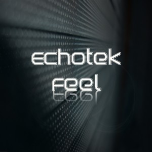 收聽Echotek的Feel歌詞歌曲