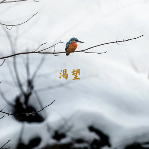 Dengarkan 渴望 lagu dari 毛阿敏 dengan lirik