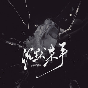 Listen to 沉默杀手 (伴奏) song with lyrics from 罗燚罗四火
