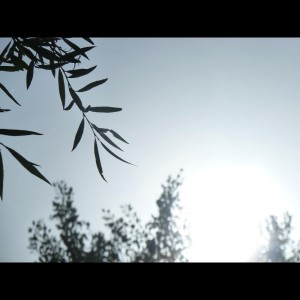 收听Rejalacion Del Mar的All Rivers歌词歌曲
