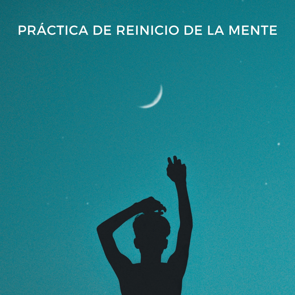 Sonidos Armónicos