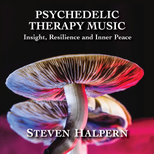 ดาวน์โหลดและฟังเพลง Honoring the Journey พร้อมเนื้อเพลงจาก Steven Halpern
