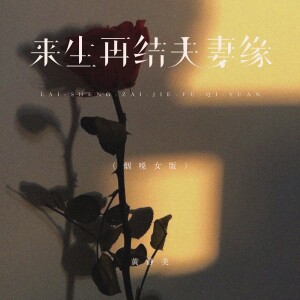 Album 来生再结夫妻缘（烟嗓女版） from 黄静美