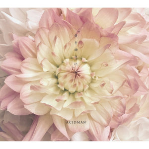 ดาวน์โหลดและฟังเพลง Ai Wo Ryoute Ni พร้อมเนื้อเพลงจาก Acidman