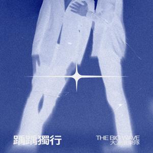 收听大波浪的踽踽独行歌词歌曲