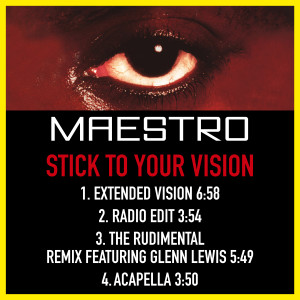 Listen to Stick To Your Vision (The Rudimental Remix) song with lyrics from Maestro