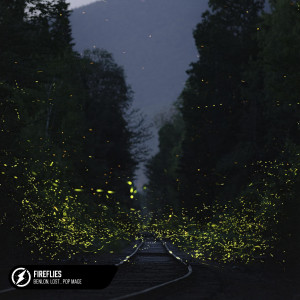 Album Fireflies oleh Benlon