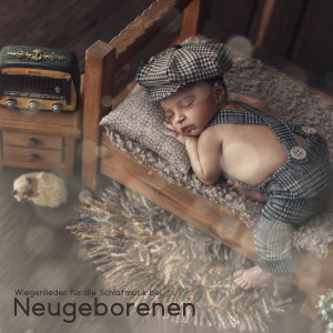 Dengarkan lagu Baby Nap Musik nyanyian Ruhige Entspannende Atmosphäre dengan lirik