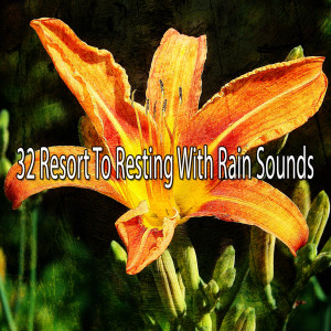 Listen to A Rumble in the Night song with lyrics from Rain Sounds