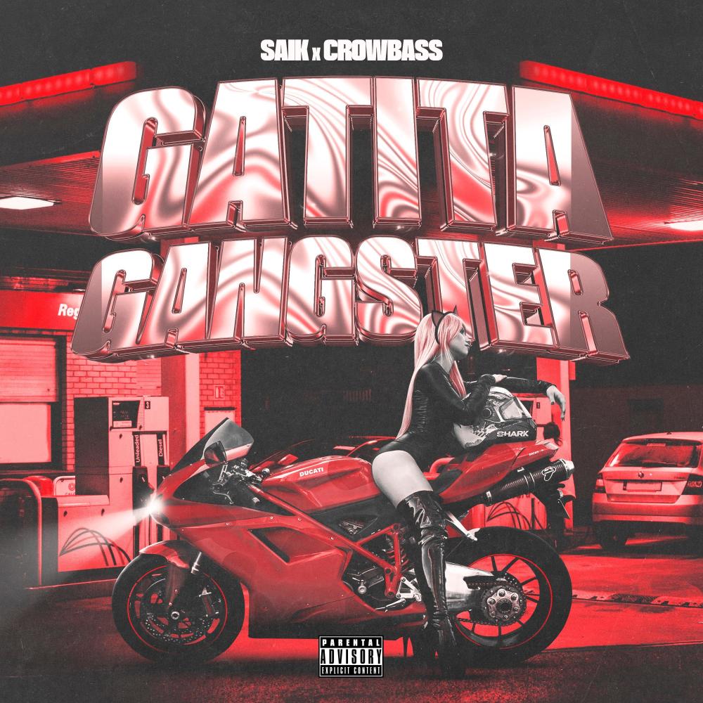 GATITA GANGSTER (feat. Crowbass)