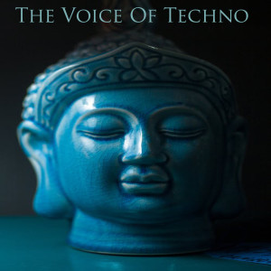 Album The Voice of Techno from Ellen Alien