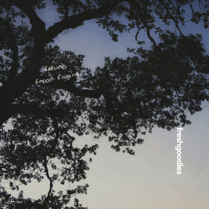 ดาวน์โหลดและฟังเพลง Smooth Evening พร้อมเนื้อเพลงจาก Sakumo