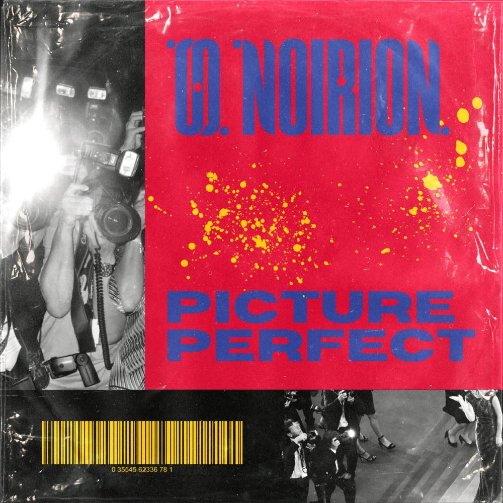 Picture Perfect (Explicit)