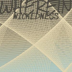 Album Wherein Wickedness from Various