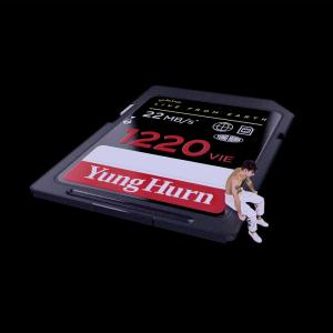 Listen to Bist Du alleine. (Explicit) song with lyrics from Yung Hurn