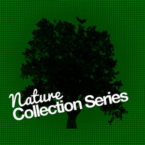 Nature Sound Collection的專輯Nature Collection Series