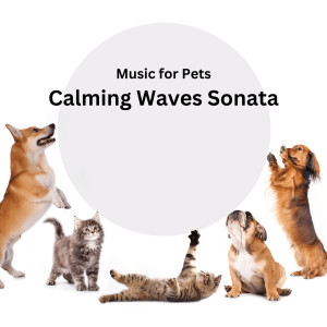 Music for Pets: Calming Waves Sonata