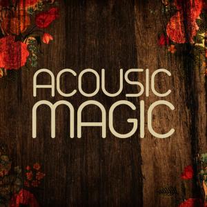 ดาวน์โหลดและฟังเพลง Ordinary People พร้อมเนื้อเพลงจาก Acoustic Hits