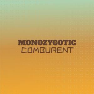 Various Artists的專輯Monozygotic Comburent