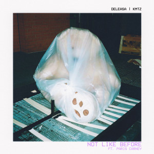 收聽Deleasa的Not Like Before歌詞歌曲