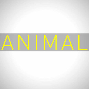 收聽Power Music Workout的Animal (DJ Shocker Extended Remix)歌詞歌曲